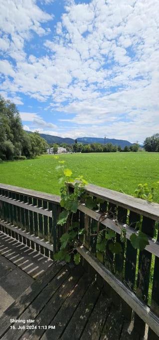 City Oasis Salzburg Exterior foto
